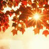 ���� ������, ������������ - ��������� 7 ��� 2017 � ������ �vk.com/fotokubiki�