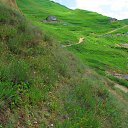 ���� ��������, ���������, 43 ���� - ��������� 28 ���� 2017