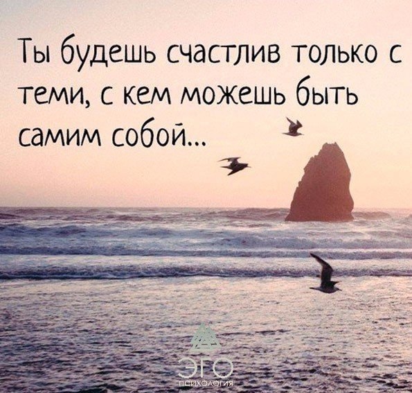  | ,  - 11  2017  12:31