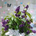 ���� Olezhka***, ����, 65 ��� - ��������� 14 ��� 2017 � ������ ���������� ������