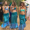 �������. �� ������� ���� ����������