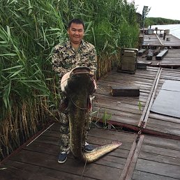 ������, �������, 45 ���