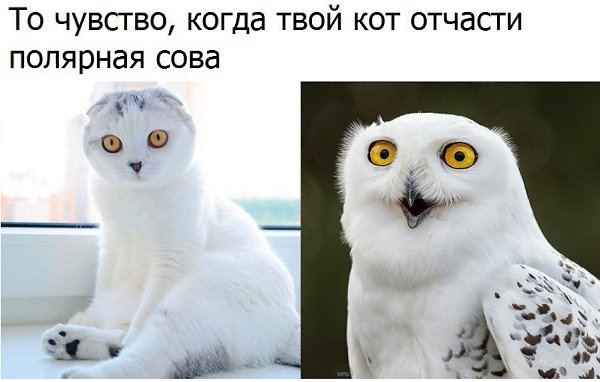  - 17  2017  16:05