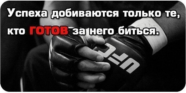 ����� - ��� ����� - 29 ��� 2017 � 18:08