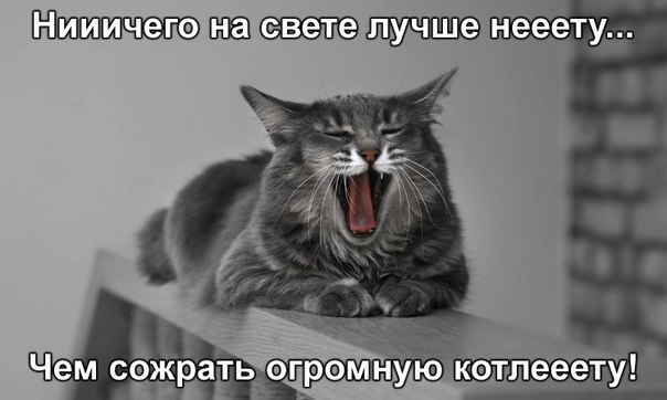    :D - 16  2017  15:03