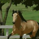 ���� �����, ������ - ��������� 19 ���� 2017