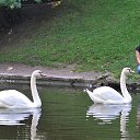 ���� �����, �������, 57 ��� - ��������� 24 ������� 2017 � ������ ���� ����������