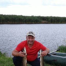 ���� ������, ��������, 47 ��� - ��������� 7 ������� 2017