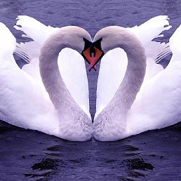 �����, ������������, 40 ���