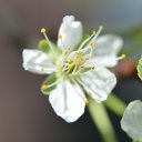 ���� ���������, ���� - ��������� 17 ��� 2017 � ������ ���� ������ ����� ������