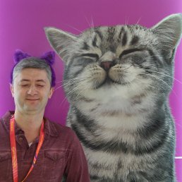 ���� ������, ������, 49 ��� - ��������� 23 ���� 2017