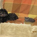 ���� ���������, ���������, 69 ��� - ��������� 10 �������� 2017 � ������ ������ ��������