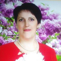 ���� �������, �������, 52 ���� - ��������� 8 ��� 2017