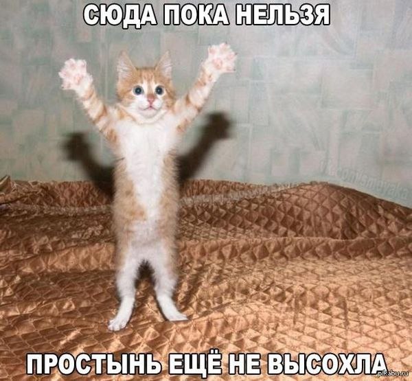    - 23  2017  17:17