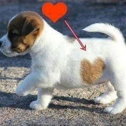 ���� �������, ����� - ��������� 22 ������� 2017