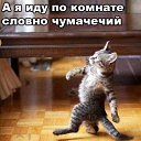 ���� �������, ������ - ��������� 9 �������� 2017 � ������ ������ ��������