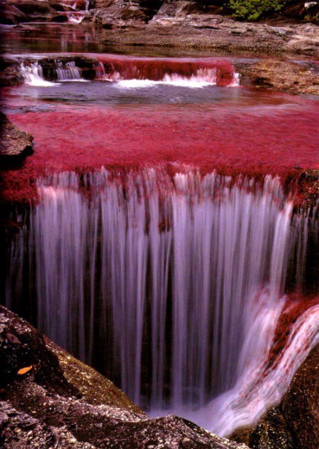   ().  (Cao Cristales)    ,    ... - 4