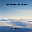 ���� ����� �������, ���������, 44 ���� - ��������� 21 ������� 2017 � ������ ������ ��������