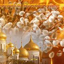 ���� �����, ������, 53 ���� - ��������� 9 ������ 2017 � ������ ���� ����������