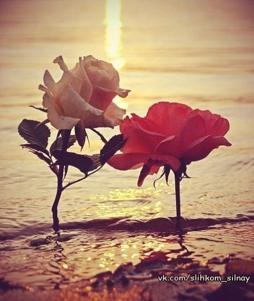 ������ ������� ���������, ����� ������ �����, � ������ �� ������� �����, ����� ������ ���������.