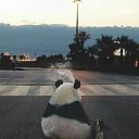 ���� �������, ������, 49 ��� - ��������� 19 ������ 2017 � ������ ������ ��������