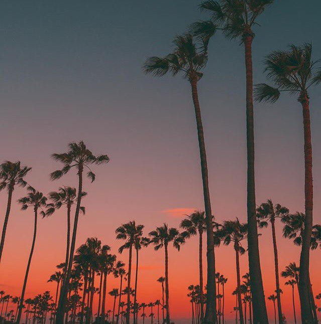 По-настоящему богат тот, кто удовлетворён своей жизнью. - 3