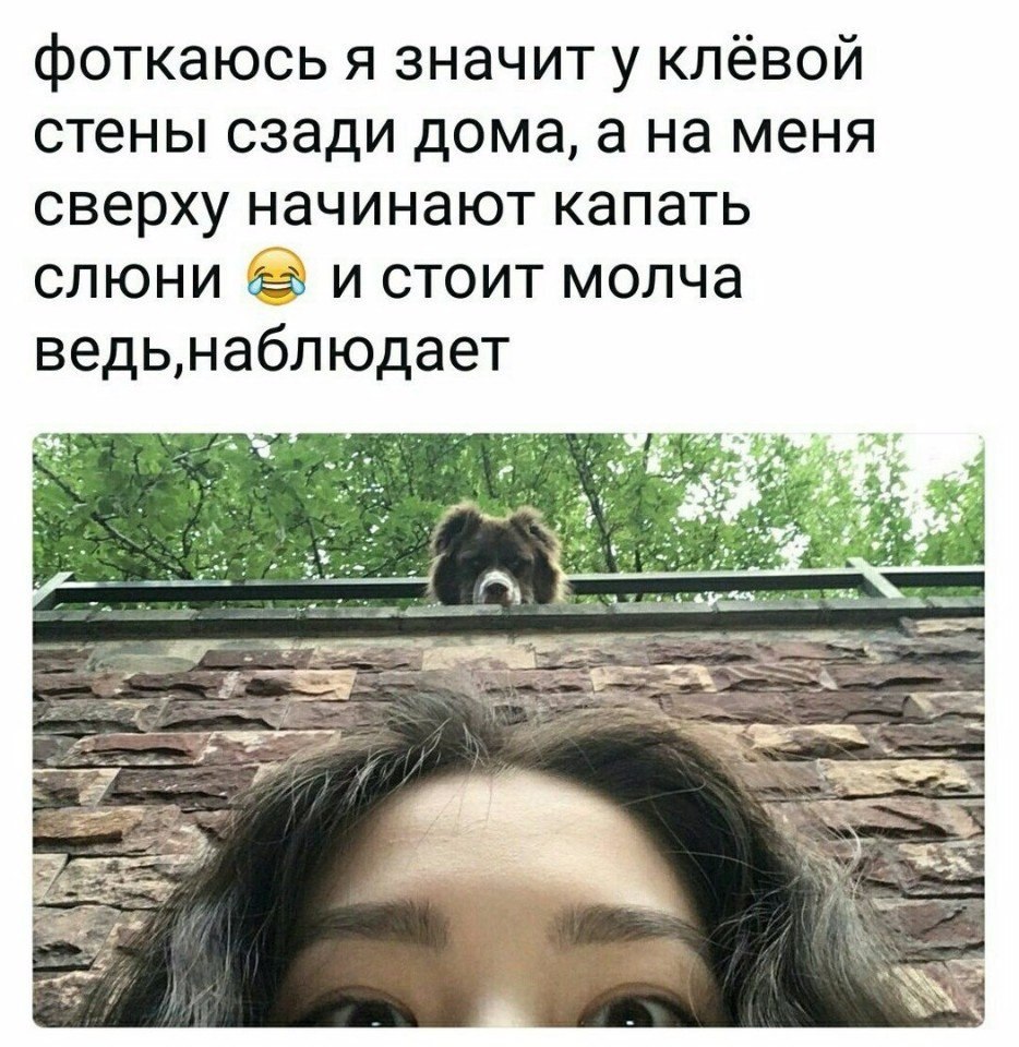 ���������������� ���� - 14 ���� 2017 � 16:02