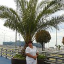 ���� ���������, ������-��-���� - ��������� 9 �������� 2017