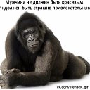 ���� �����, ������������, 40 ��� - ��������� 14 �������� 2017 � ������ ���� ����������