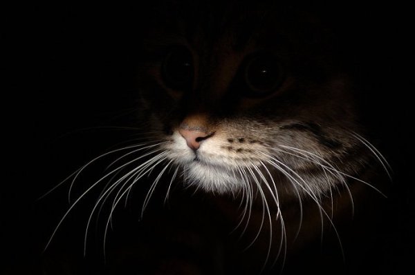  ! - 4  2017  11:38 - 3