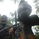  , , 85  -  19  2017   - 2017