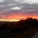 ���� �������, �����������-��-����� - ��������� 10 �������� 2017 � ������ ���� ����������