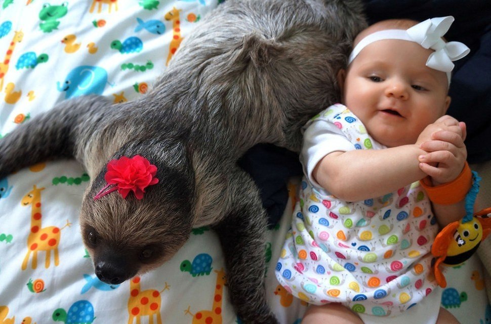  : 5-      .#@https://fotostrana.ru/away?to=/sl/XE2 - 7
