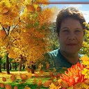 ���� ����, ����, 69 ��� - ��������� 3 �������� 2017 � ������ ������ - ������ �����������