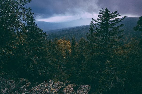 ������ ������ � ������, ��� ������� ����� ������ ����� ����� �������� � ���, ���� ������� ���� ... - 8