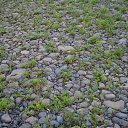  , , 69  -  6  2017    .  864 . 2017.