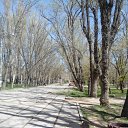 ���� �������, ��������, 46 ��� - ��������� 14 ������ 2017 � ������ ���� ����������