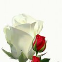 ���� ������, ������, 64 ���� - ��������� 9 ������� 2017 � ������ ���� ����������