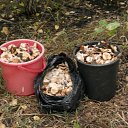 ���� �������, ������, 63 ���� - ��������� 18 ������� 2017 � ������ ����� �� ����