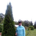 ���� ������, ����� - ��������� 15 �������� 2017 � ������ ���� ����������