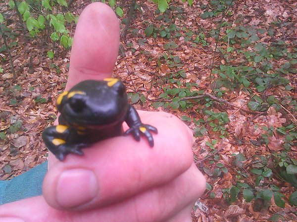   - 16  2017  09:13 - 4