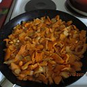 ���� ��������, Kouvola, 78 ��� - ��������� 3 ������� 2017 � ������ ����������������� ����