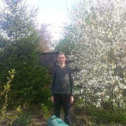 �����, ��������, 44 ����