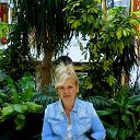 ���� �����, ������, 113 ��� - ��������� 16 ������ 2017