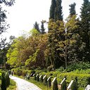  , , 60  -  17  2017      ,17.05.17.