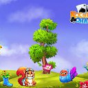 ���� Kobi, �����������, 51 ��� - ��������� 31 ������� 2017 � ������ �������� �������-�������