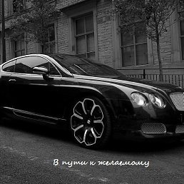 �����, ��������, 37 ���