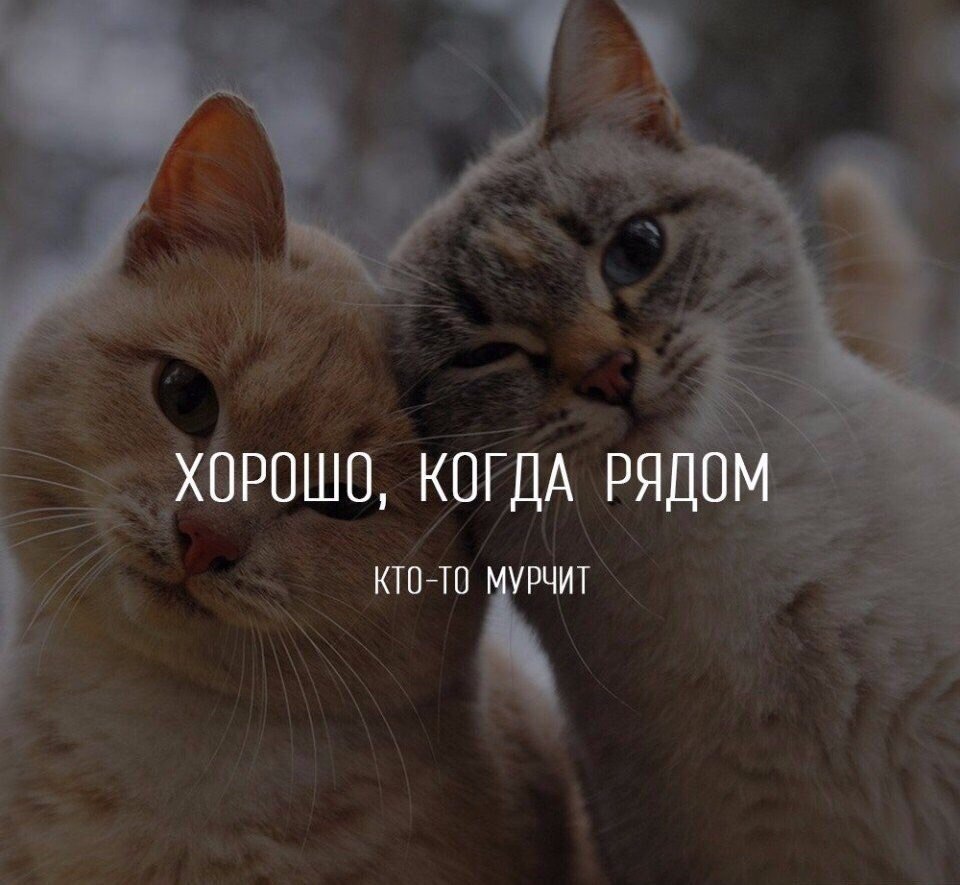 . - 1  2017  08:07