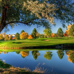  Natasha, , 57  -  10  2017