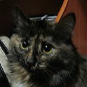 ���� �������, ����� - ��������� 9 ������� 2017